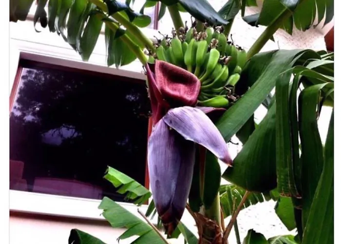 Отель Meril Club Marmaris (adults Only)